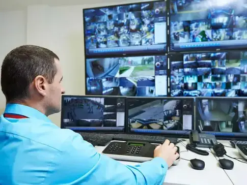 agent de sécurité à Aigrefeuille-dur-Maine - image 3