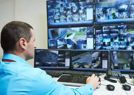 agent de sécurité Clisson-5