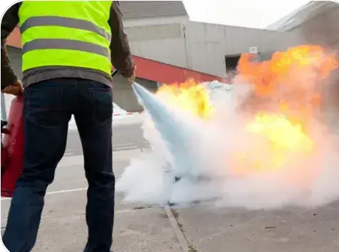 agent de sécurité La Roche-sur-Yon-1