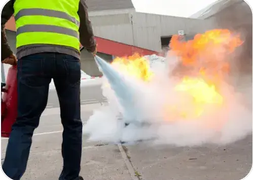 entreprise de sécurité Carquefou-5