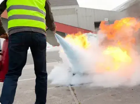 entreprise de sécurité Nantes-1