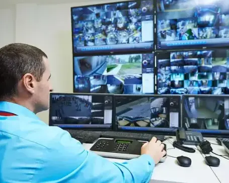 entreprise de sécurité Saint-Philbert-de-Grand-Lieu-3
