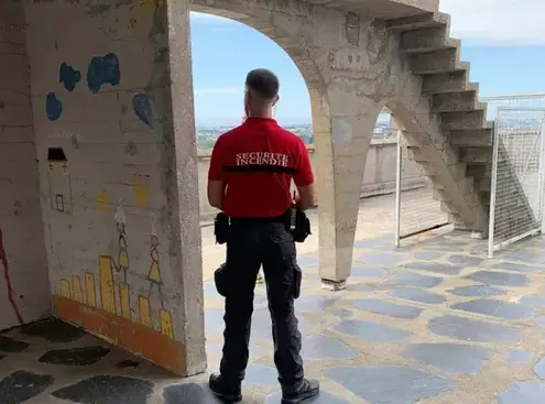 gardiennage Aigrefeuille-dur-Maine-1