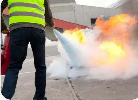 gardiennage à Aigrefeuille-dur-Maine - image 2