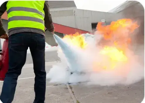 gardiennage à Carquefou - image 2