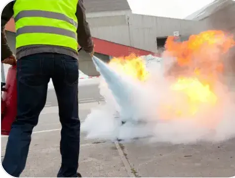gardiennage à La Roche-sur-Yon - image 2