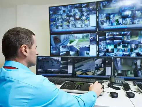 gardiennage à La Roche-sur-Yon - image 3