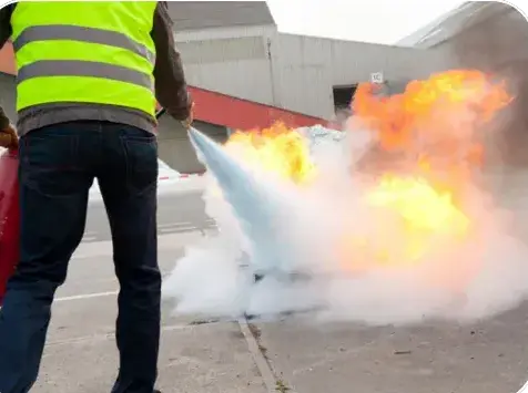 gardiennage à Orvault - image 2