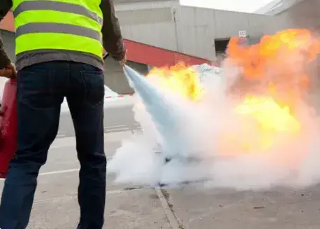 gardiennage Saint-Philbert-de-Grand-Lieu-3