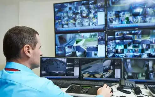 gardiennage Saint-Philbert-de-Grand-Lieu-5