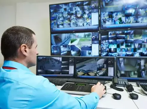 sécurité évènementiel La Roche-sur-Yon-1