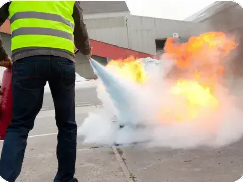 sécurité évènementiel La Roche-sur-Yon-5