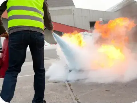 sécurité évènementiel à Orvault - image 3