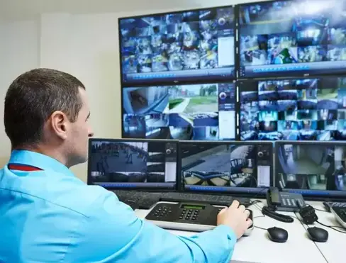 sécurité évènementiel à Orvault - image 4