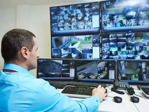 sécurité incendie à Carquefou - image 3